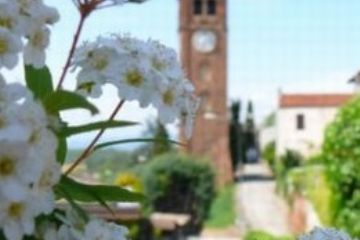Foto di A. Accossato