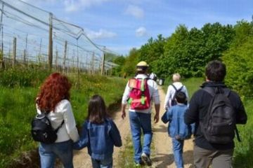 Il gruppo a piedi percorre Via San Donato.<br>Foto: Riccardo Baravalle