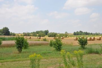 Foto di Paola Gullino