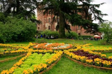 Messer Tulipano (Foto di Alessandro Vecchi - 2015)