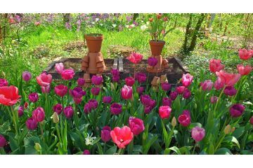 Foto di Alessandro Vecchi (CC-BY-SA 2026)