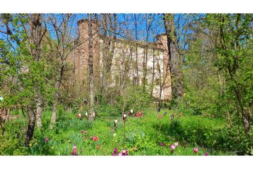 Foto di Alessandro Vecchi (CC-BY-SA 2026)