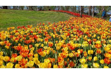 Foto di Alessandro Vecchi (CC-BY-SA 2026)