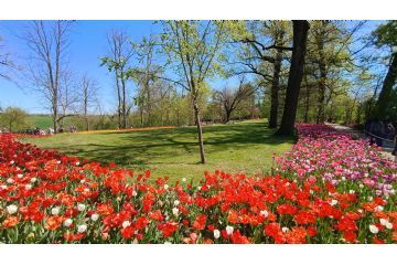 Foto di Alessandro Vecchi (CC-BY-SA 2026)