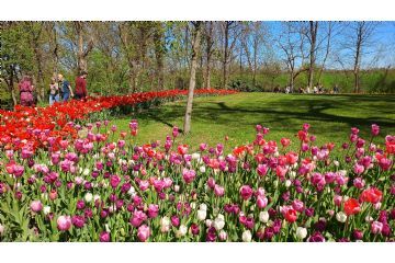 Foto di Alessandro Vecchi (CC-BY-SA 2026)